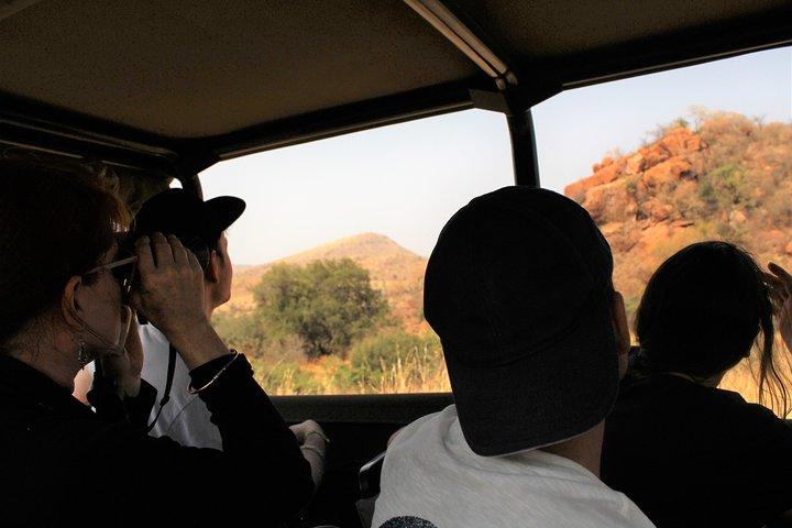 2 Tage Pilanesberg Camping Safari