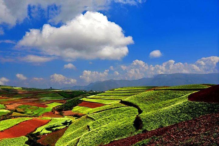 2 dagar Kunming Dongchuan Red Land Photography Tour