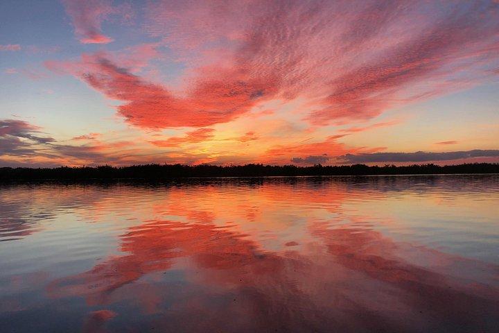 Visite de la faune de l'Indian River Lagoon avec un capitaine expérimenté
