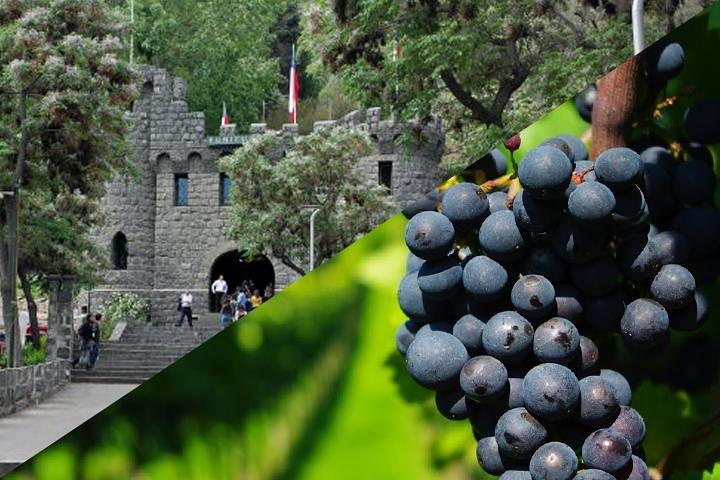 Privat Santiago Full-Day Layover Tour