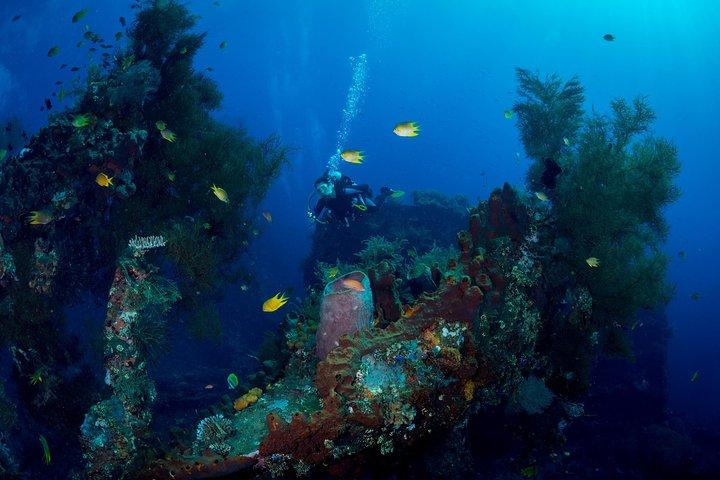 PADI Advanced Open Water Course von Bali Hai Diving Adventures