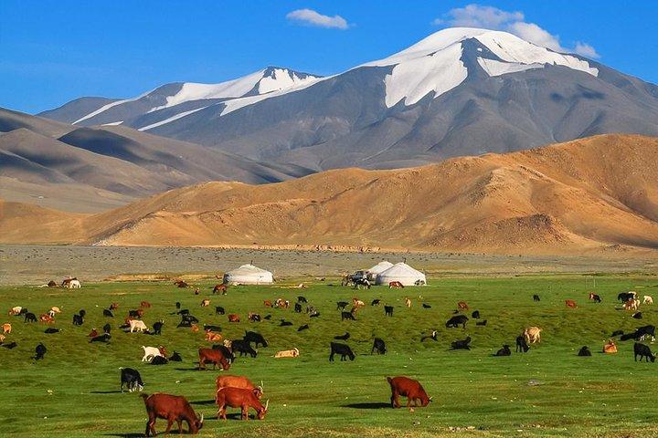 Bedste 7-dages tur i det centrale Mongoliet