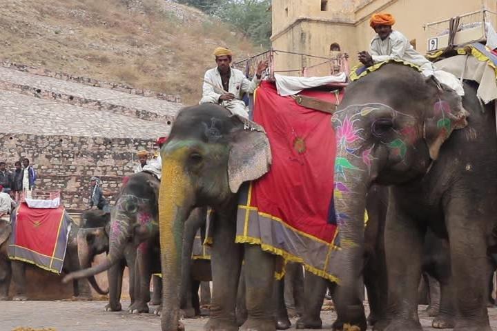 プライベート4泊5日ゴールデントライアングルツアー(DELHI-AGRA-JAIPUR)
