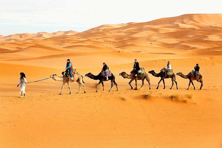 Sunrise View Desert Safari with Dune Bashing and Sand Boarding