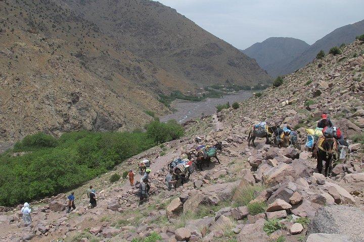 Toubkal Trek 4 giorni con guide Atlas locali