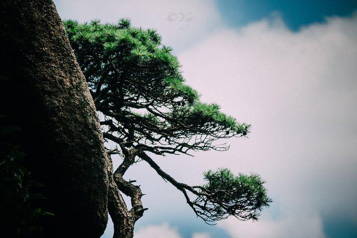 2 dagars privat resa till Mt Huangshan & Tongmo Village från Shanghai