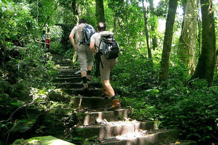 Cuc Phuong National Park - Ninh Binh