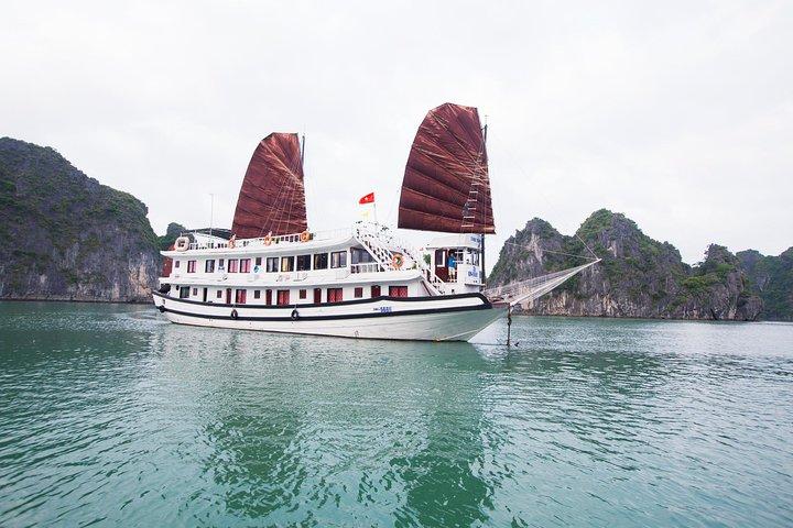 2 giorni 1 notte su Swan Crociere che visitano la baia di Bai Tu Long Thien Canh Son cave