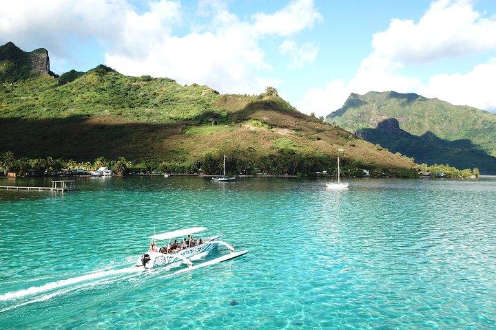 Moorea 6 - Plongée d'une heure et déjeuner partagé