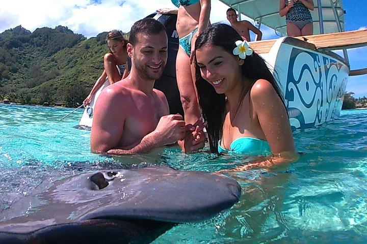 Moorea 6 - Plongée d'une heure et déjeuner partagé