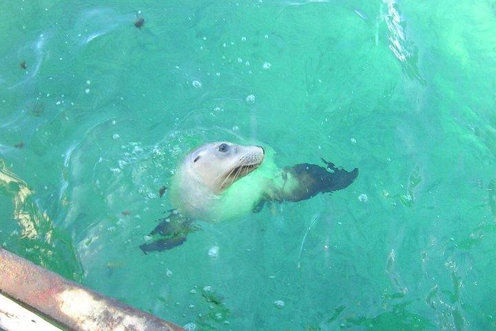 アブロロス諸島パースからの飛行船＆シュノーケルアドベンチャー