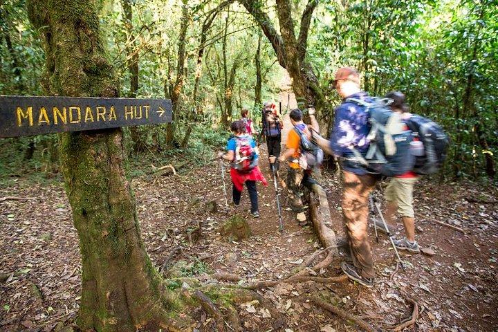 Da Arusha: tour di un giorno del Monte Kilimangiaro