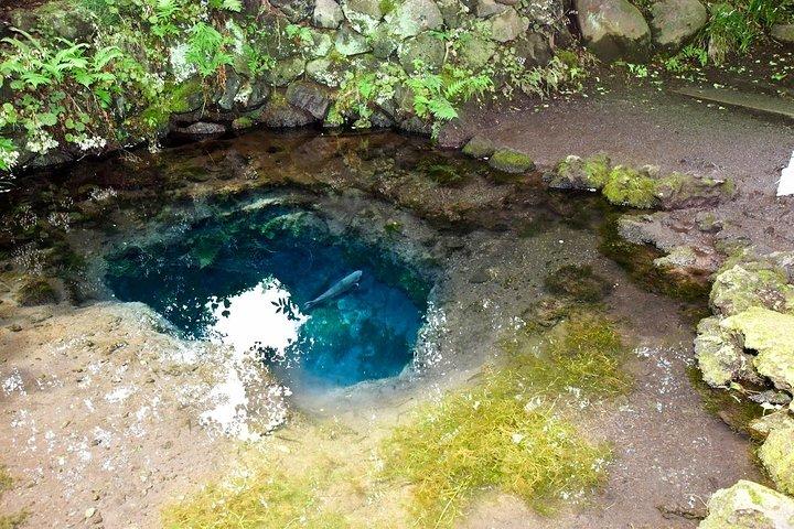 東京発、地元ガイド付き車で行く富士山と箱根の日帰りツアー