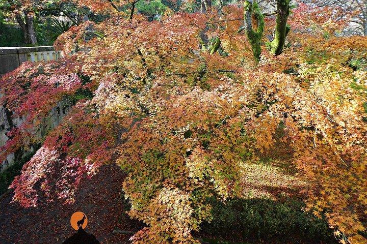 コインブラの魅力と場所を発見