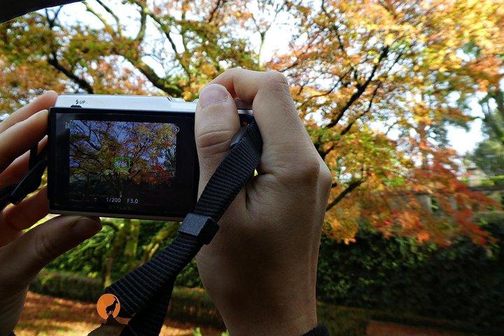 コインブラの魅力と場所を発見
