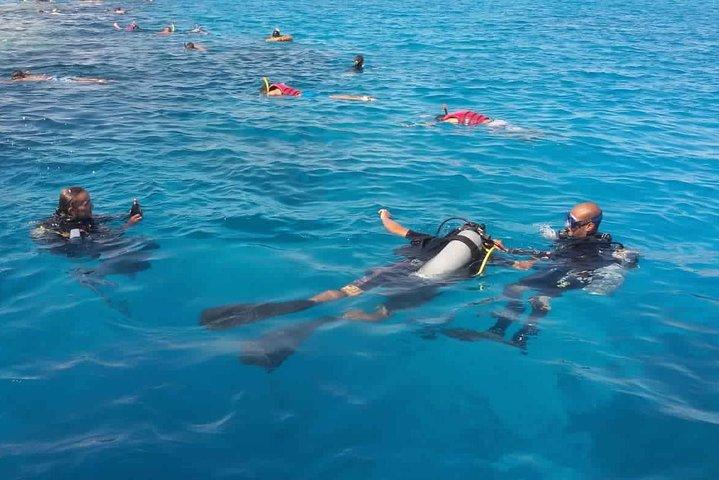 Hurghada Dolphin House und Banana Boat Fun mit Schnorcheln Zeit mit Mittagessen Inc
