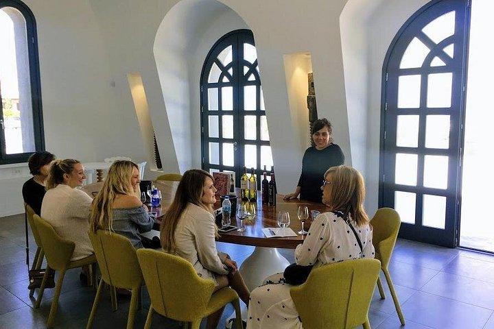 Erleben Sie Santorini: Weinprobe kleine Gruppe Tour