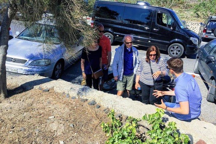 Erleben Sie Santorini: Weinprobe kleine Gruppe Tour