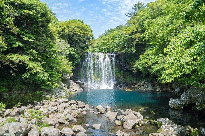 ベスト7韓国ツアー（小グループ）現地食体験付き