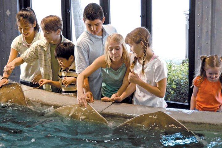 ヒューストンシティツアーとダウンタウン水族館オールライドパス