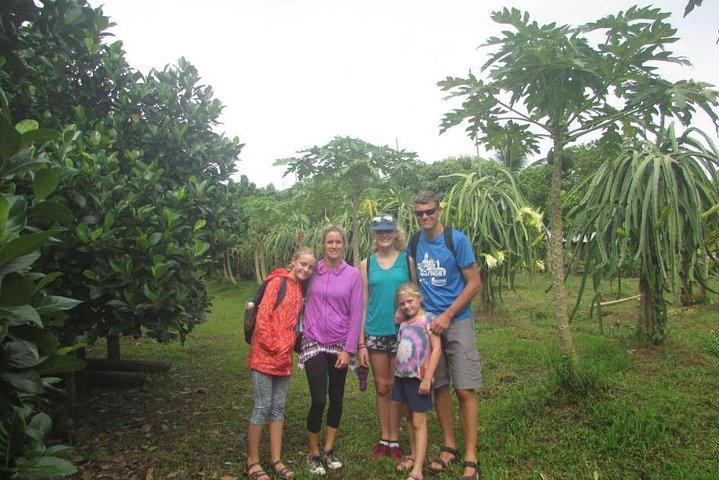 Mekong Delta en Cai Rang drijvende markt 5-uur durende tour