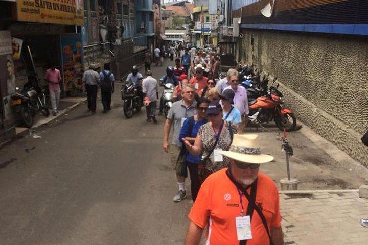 Colombo vandretur med privat guide
