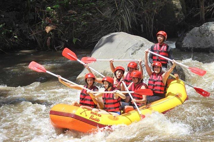 ウブドのAyung River Half-Day White Water Rafting Bali