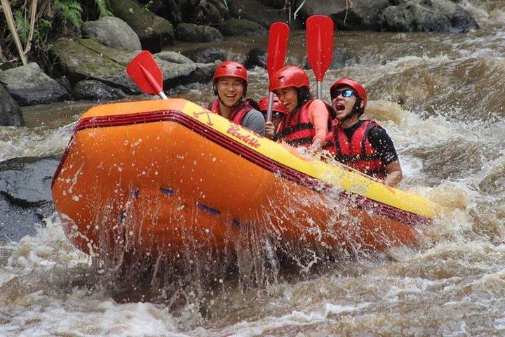 ウブドのAyung River Half-Day White Water Rafting Bali
