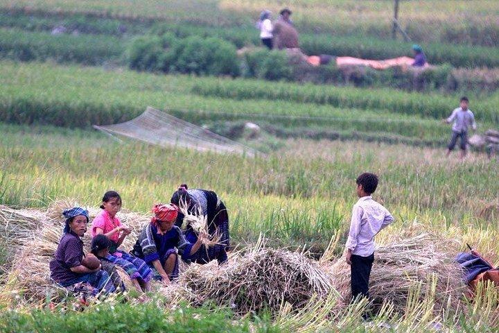 ハノイからの場合： エスニックホームステイでサパリアル体験1泊2日