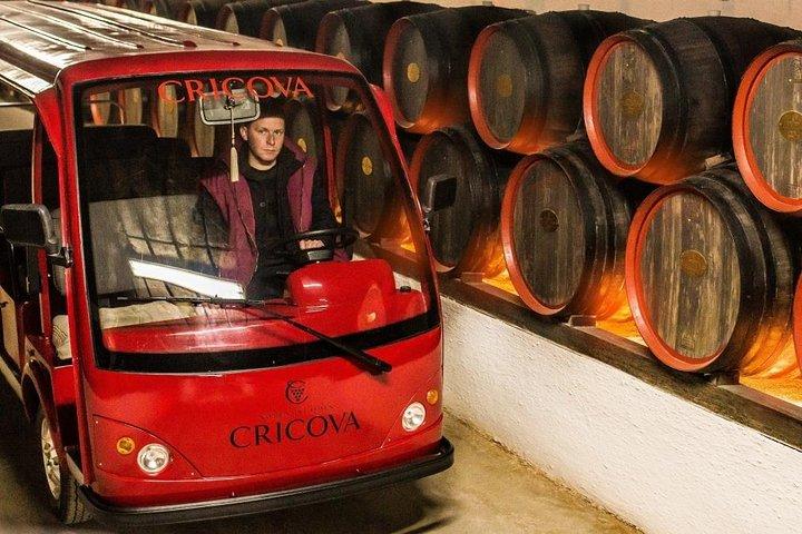 2 udflugter på en dag - Cricova Winery, Tiraspol City og Bender Fortress!