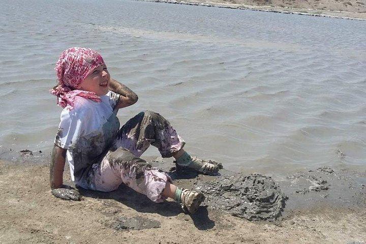 Gobustan & Mud Volcanoes Tour (billets inclus)