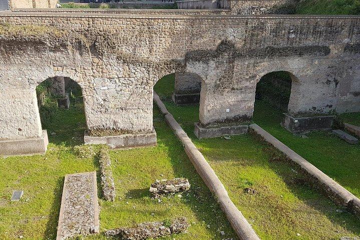 古代ローマとコロッセオ：半日プライベートツアー