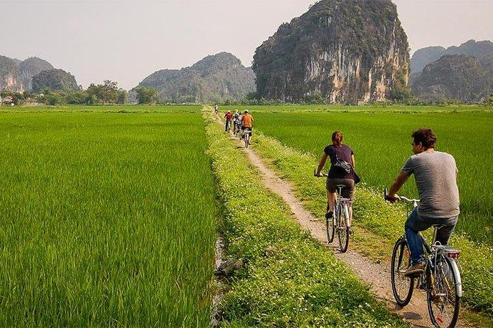 Hoa Lu Tam Coc Full Day Tour: Små Grupperejse & Buffet Frokost