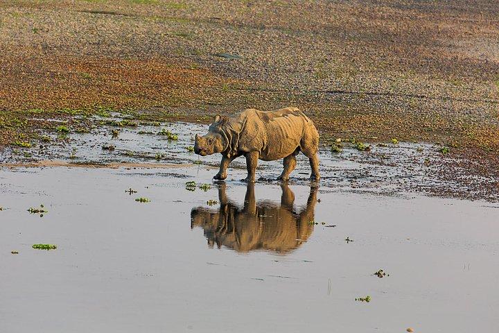 Plejande Pokhara City med fängslande Chitwan Jungle Tour från Katmandu