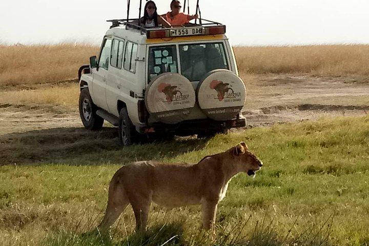 Safari económico de 4 días en Tanzania