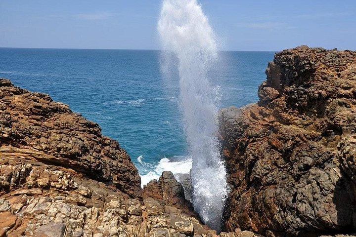 ニゴンボ・コロンボ発リバーサファリウミガメとゴール日帰りツアー