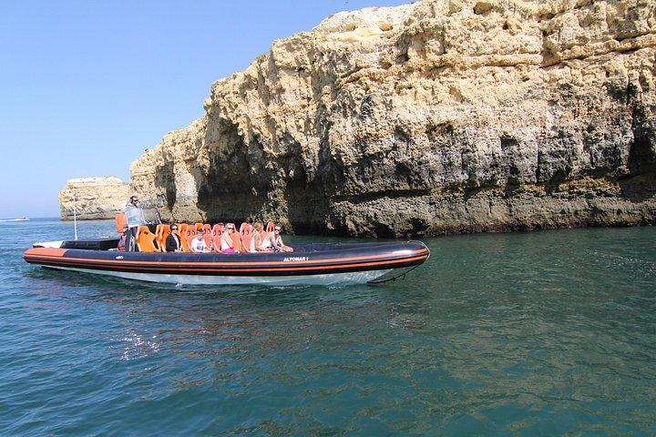 Dolphin Watching and Cave Tour from Vilamoura