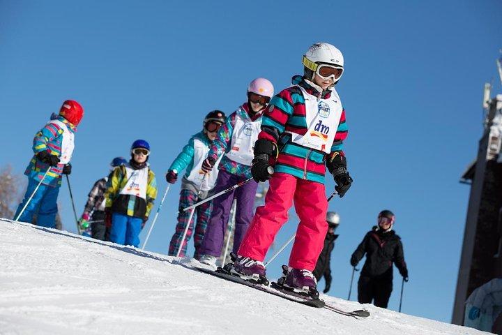 Vogel Ski Center: Full Day Skiing with Instructor
