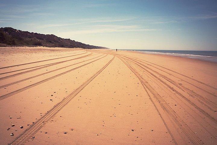 Doñana natuurpark dagtour vanuit Sevilla