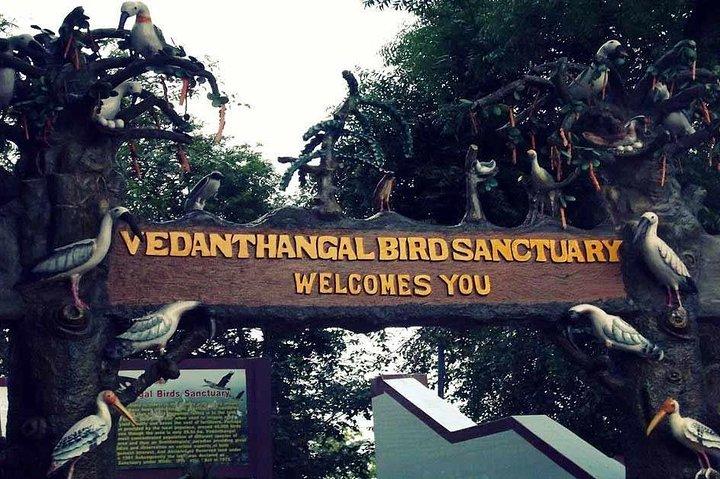 Besøg til Vedanthangal Bird Sanctuary fra Chennai