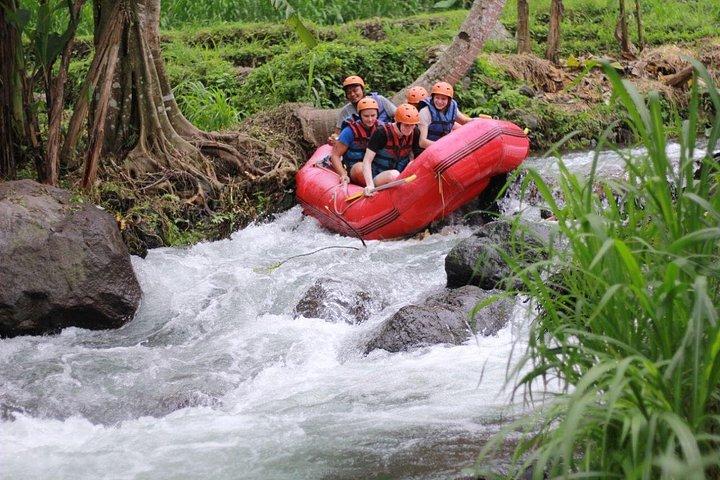 Bali Rafting med Flying Fox