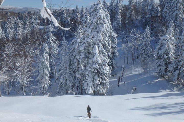 札幌発スノーシューハイキングツアーはホテル送迎付き