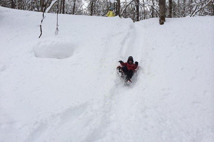 Snowshoe Hike Tour from Sapporo include hotel p/up & drop off