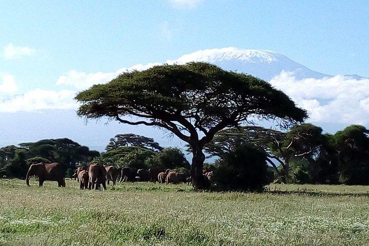 2 dagar maasai mara flygsafari