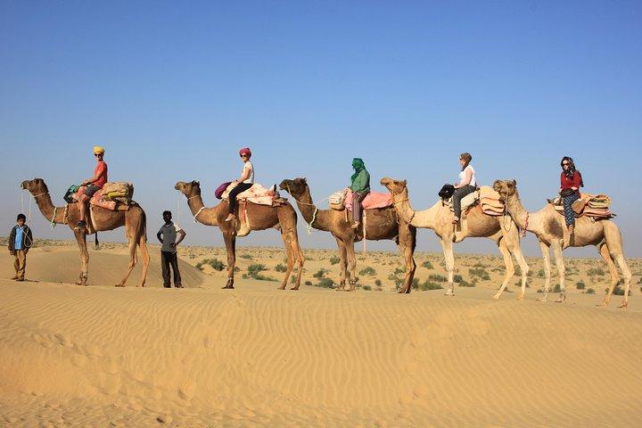 2 Tage und 1 Nacht Kamelsafari