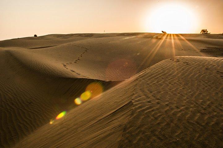 2 Tage und 1 Nacht Kamelsafari