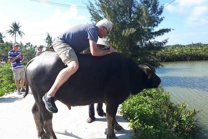 CHAN MAYまたはTIEN SA港からHOI AN COUNTRYSIDEおよびHOI AN CITYへの小旅行