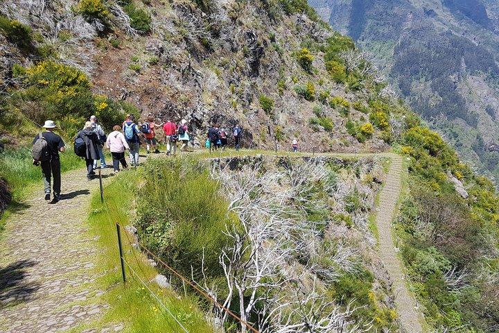 Private Guided Walk Eira do Serrado Half-day