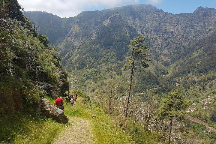 Private Guided Walk Eira do Serrado Half-day