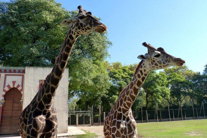 ブエノスアイレス発テマイケンツアー：自然への旅